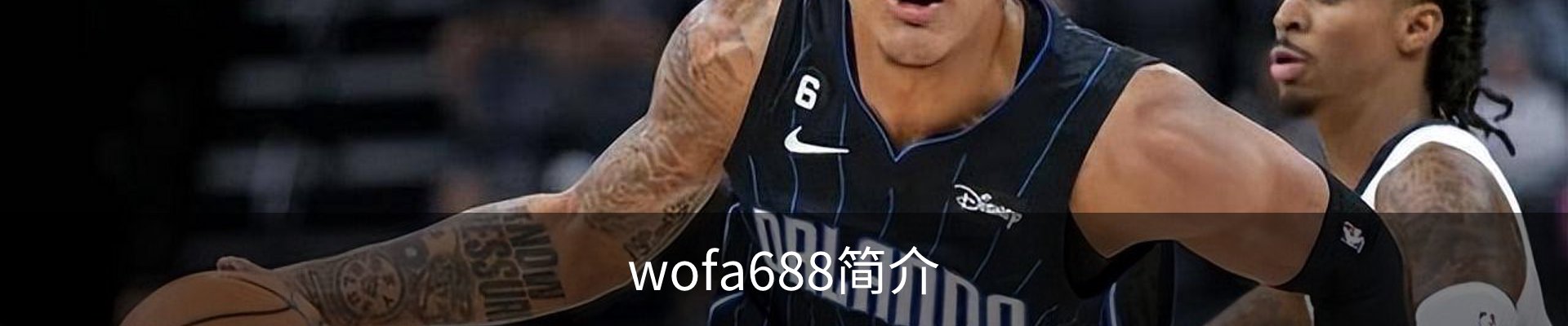 wofa688简介